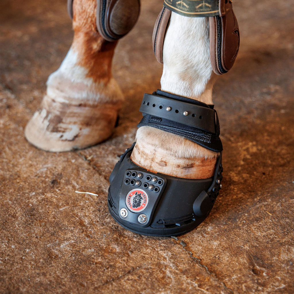 Equine Fusion Hufschuhe Trailblazer