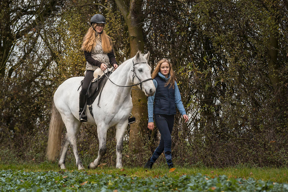 Sattel SOFT WALK, DryTex® mit Fellsitz