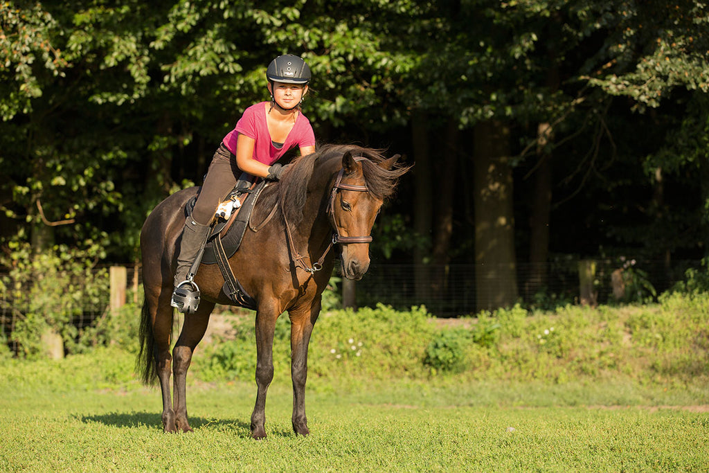Sattel CHEYENNE Größe X0 BARRY, DryTex®