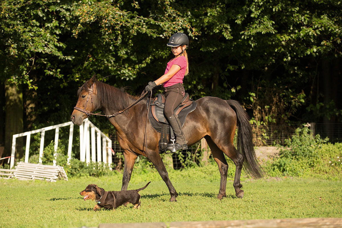 Sattel CHEYENNE Größe X0 BARRY, DryTex®
