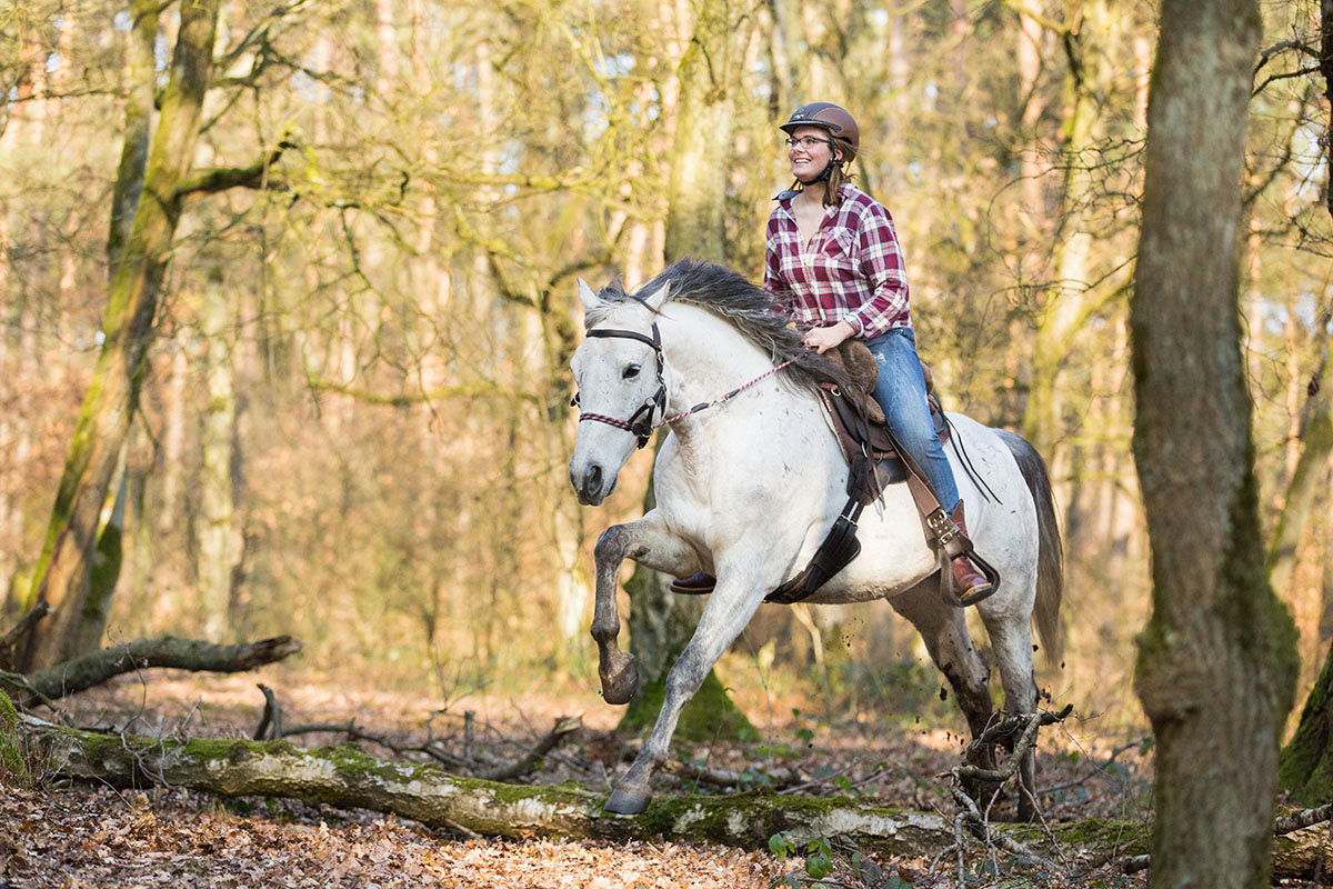 Sattel LAZY MOUNTAIN Nubukleder, Fellsitz