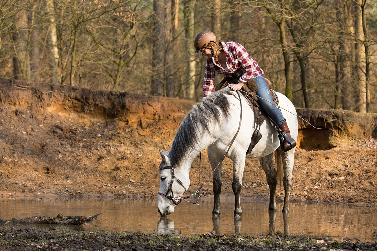 Sattel LAZY MOUNTAIN Nubukleder, Fellsitz