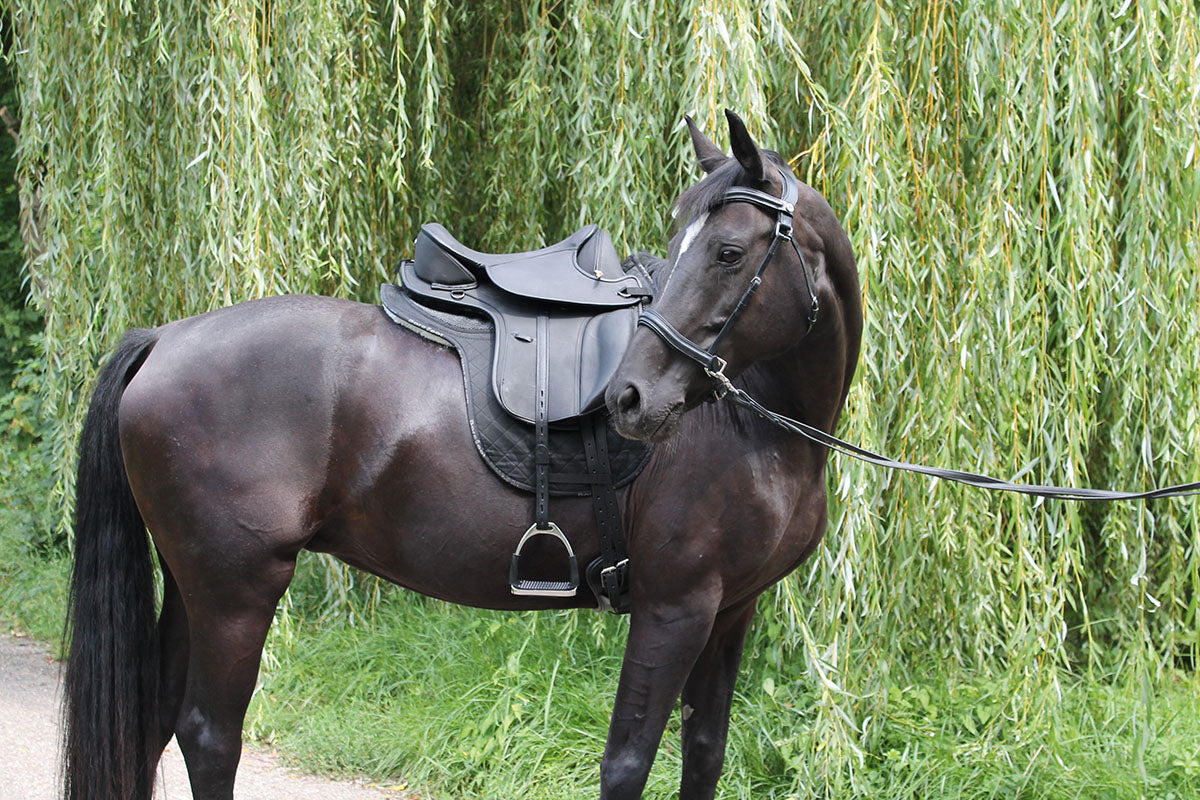 Sattel LEXINGTON Nubukleder, kurzes Sattelblatt