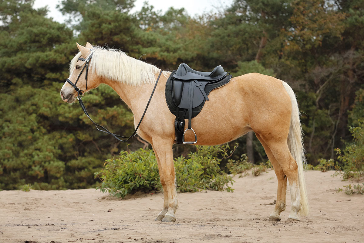Sattel MERLYN, Glattleder mit Softpauschen