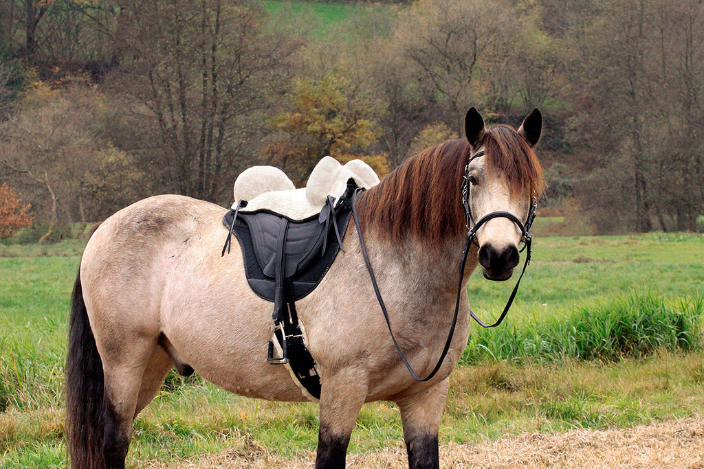 Sattel SOFT WALK, DryTex® mit Fellsitz
